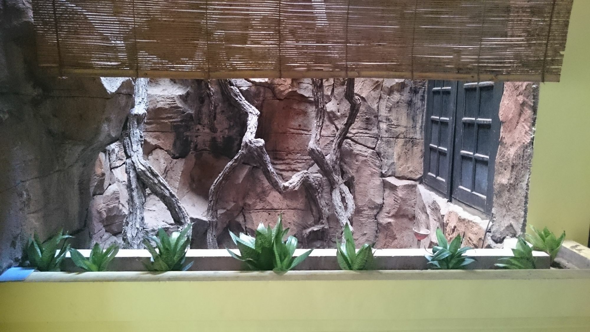 Metro Guest House Yogyakarta Luaran gambar